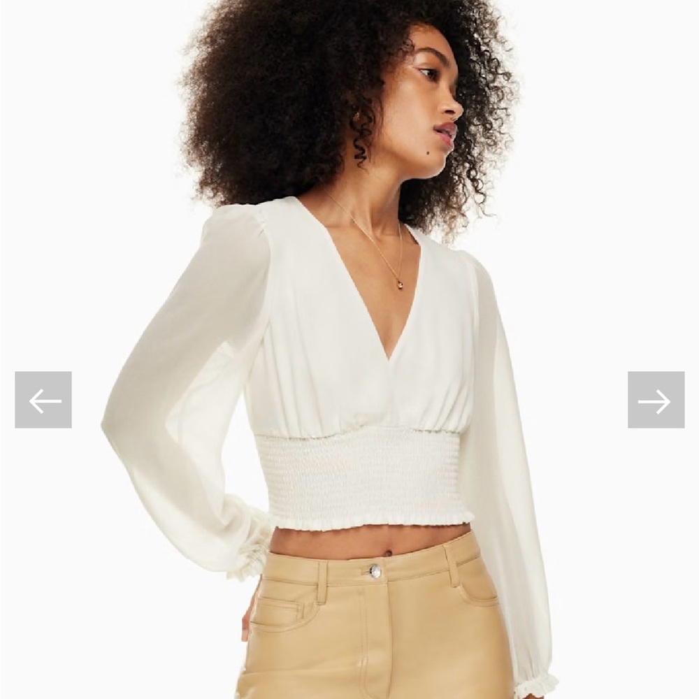 Aritzia Wilfred Pink V-Neck Flowy Blouse -Pink